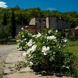 https://agriturismo-azienda-agricola-il-pozzo.it-tuscanyhotel.com